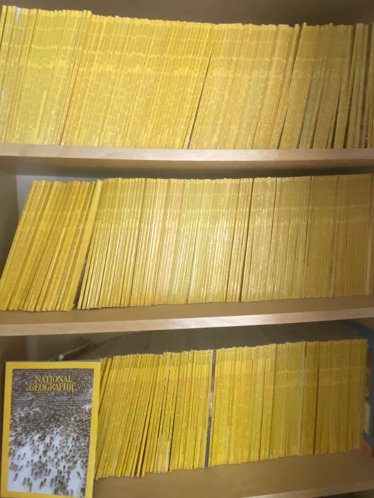 Shelves packed with decades of yellow-spined National Geographic magazines